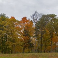 315-1772--1776 Foliage by the Old Manse, Concord, MA.jpg